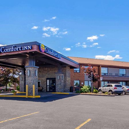 Comfort Inn Sainte-Catherine Eksteriør bilde