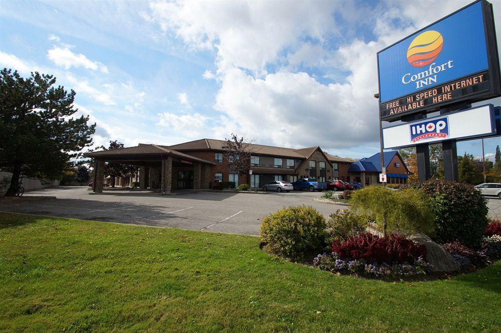 Comfort Inn St. Catharines Niagara Sainte-Catherine Eksteriør bilde